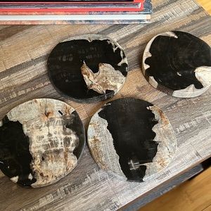 Petrified Wood Coasters